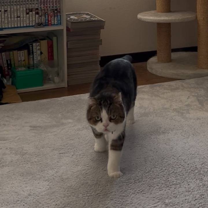 D8607167 df3a 4b75 8eed d5b45d3e53e2 1765228500391