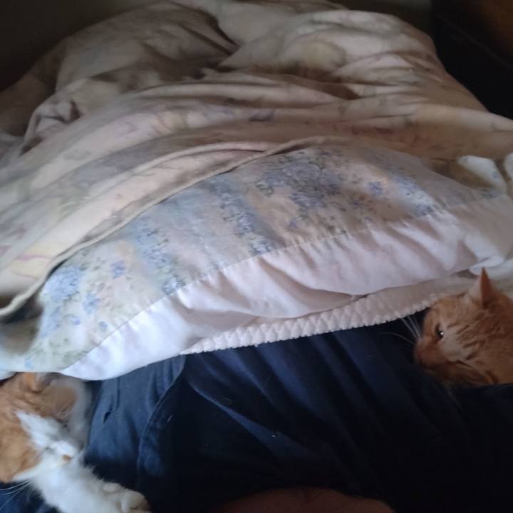 D8607f41 5d86 4753 93de a49d5f9092ee 1762490144690