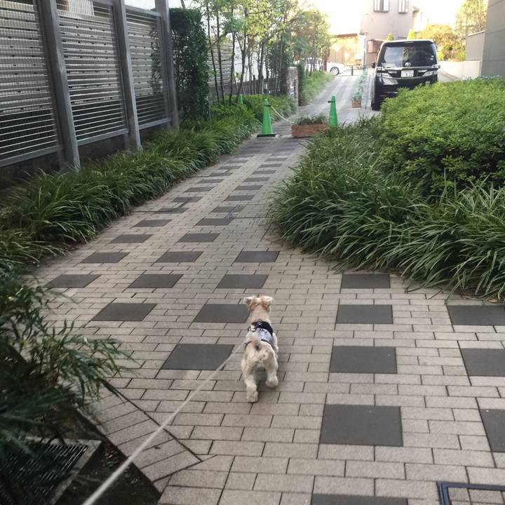 D8608680 289c 44c6 abad 336f91e68fd3 1542802209438