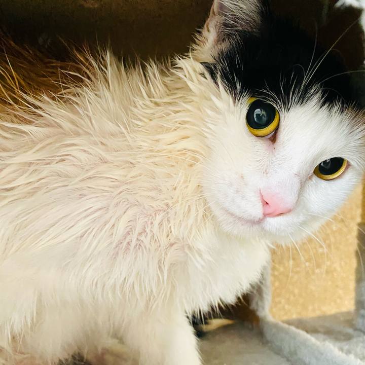 D860bfab 3da4 426e 8be2 647a6274a23e 1676794163528