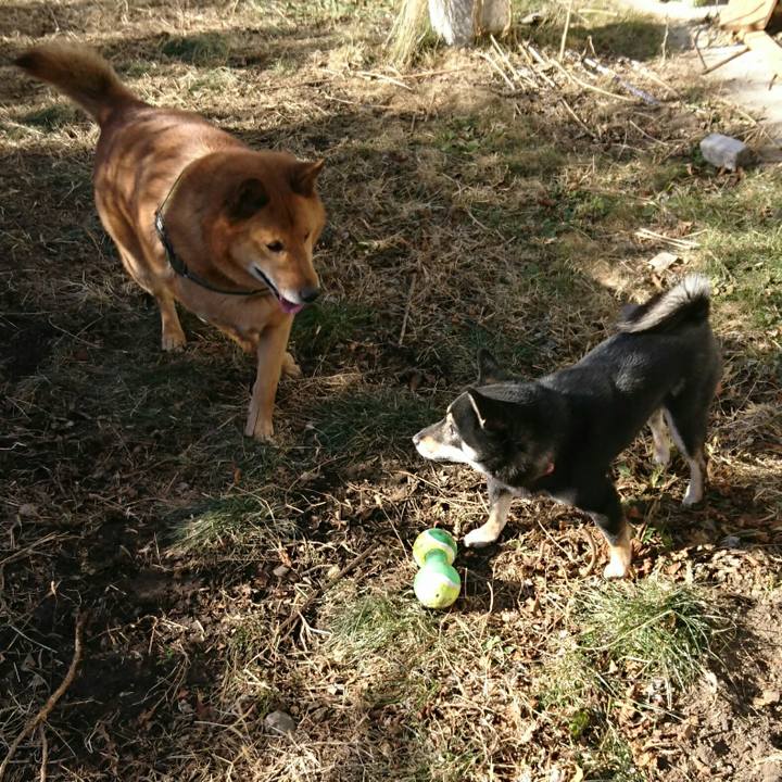 D860caa4 1dd3 406e 8253 70e86d133845 1515299675851