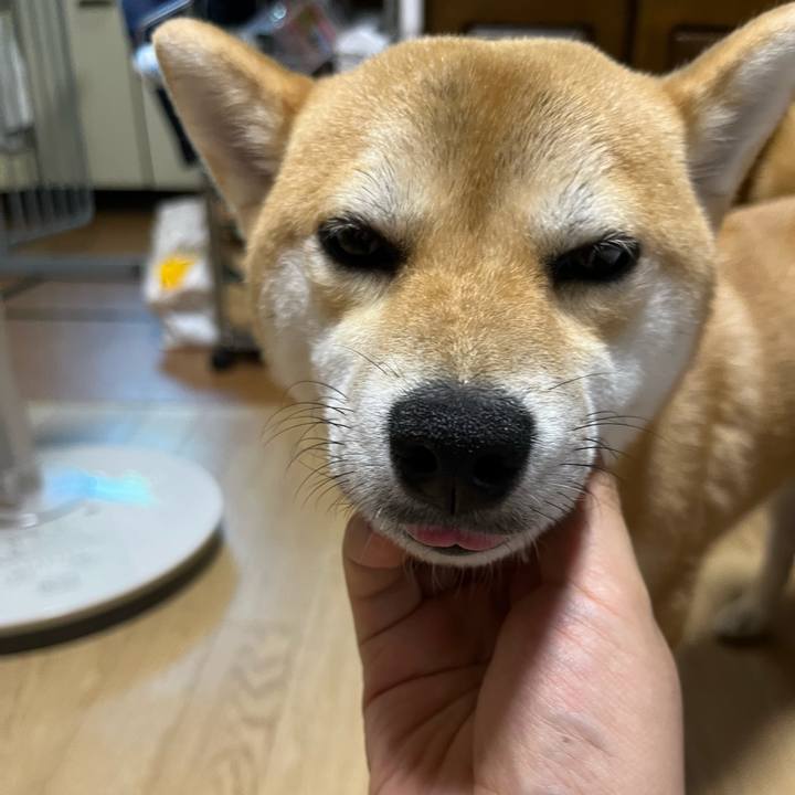 D8611009 fb20 4b4e ac08 98c0e0973b23 1658128133756