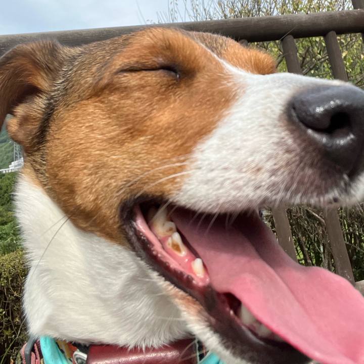 D8613fb7 79ca 4a6b a6e7 562463523b2a 1761921730959