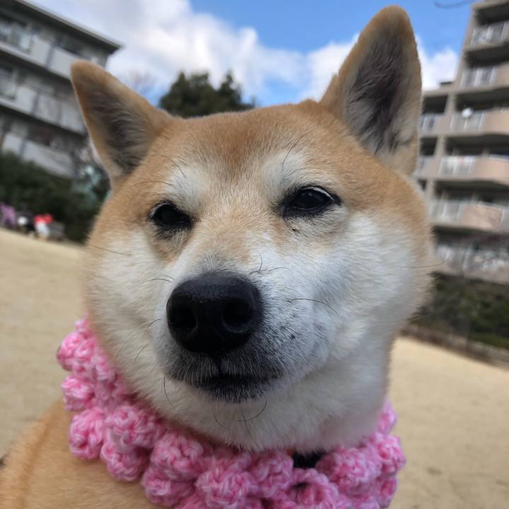 D861c1b0 a9ab 4219 bca2 0ae7057cecf3 1548736715637