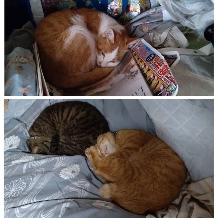 D8623a42 7191 4da0 a018 7475af6e7fdc 1748066221022