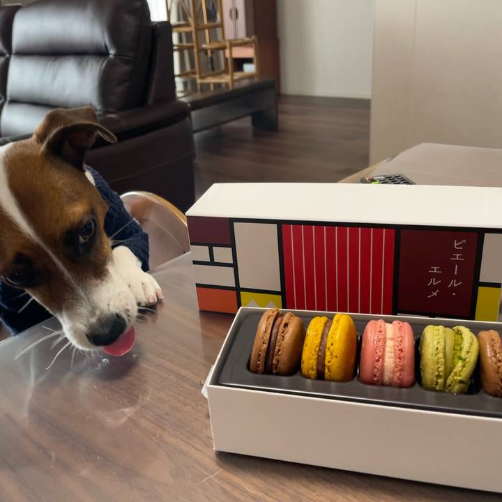 D862621a c4aa 4998 ad62 e4505c434039 1641980684234