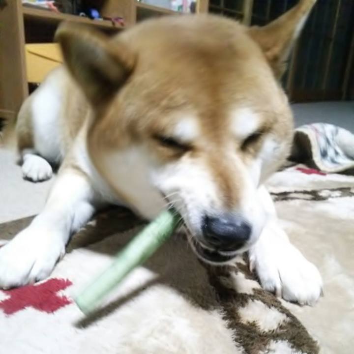 D862a240 5294 481e 89bc 286dcd12891a 1542111604530