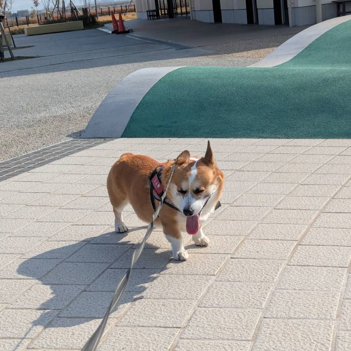 D862e25d 00f4 4819 8365 52059c8735cb 1766387378107