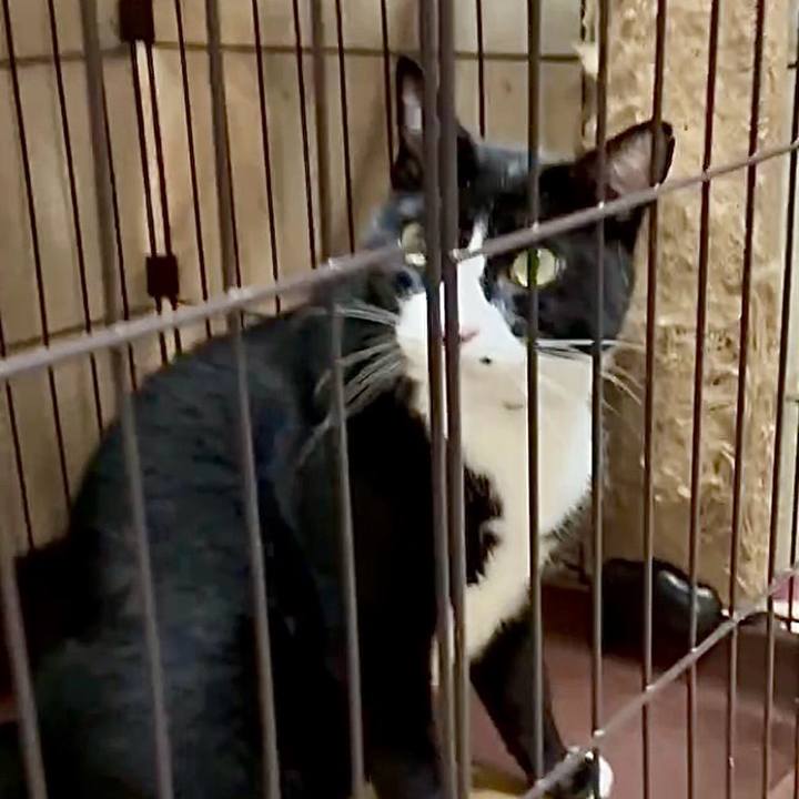 D86336a4 a4a2 4f82 8637 7091624a3948 1757246980867