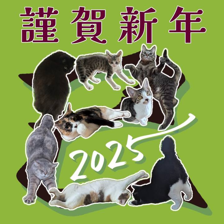 D8634769 db3e 466e bf75 925209d99653 1735685070443