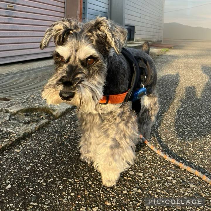 D86355e9 5b5b 4f60 9a37 fb01b64edf08 1731714722139