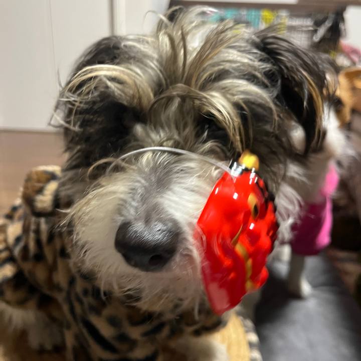 D863731a 3300 4fa7 bc54 f90be888a7f3 1770114929715