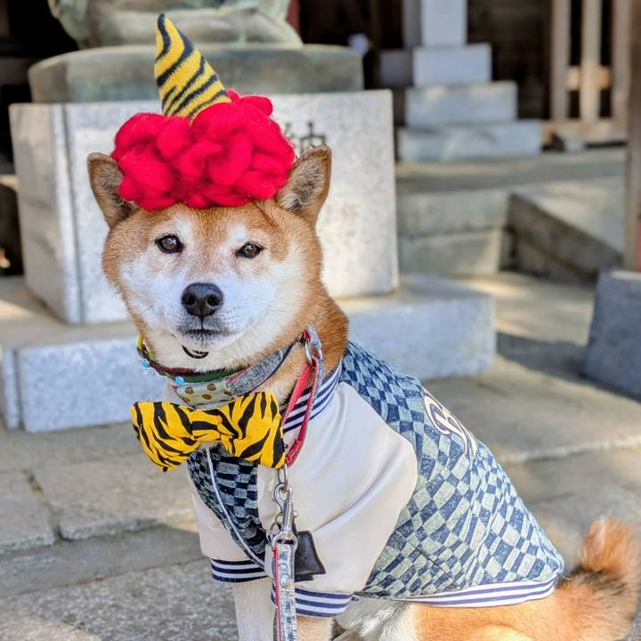 D8638975 b052 48bc 8f25 854be80e9326 1770021438312