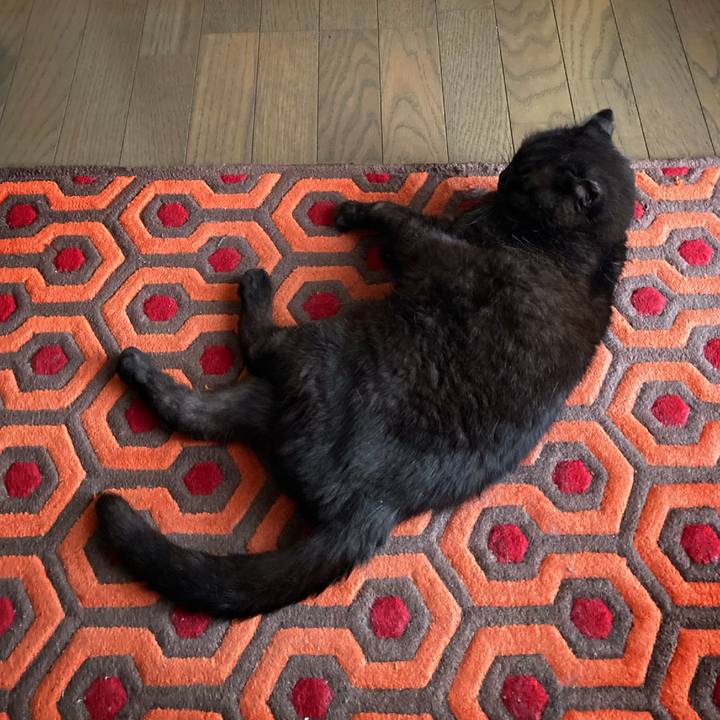 D863a111 153b 4249 9be1 5bca4d78f83e 1621138305957