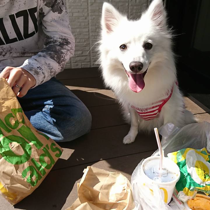 D863e779 2933 435b 9552 65145ea527cc 1521262869145