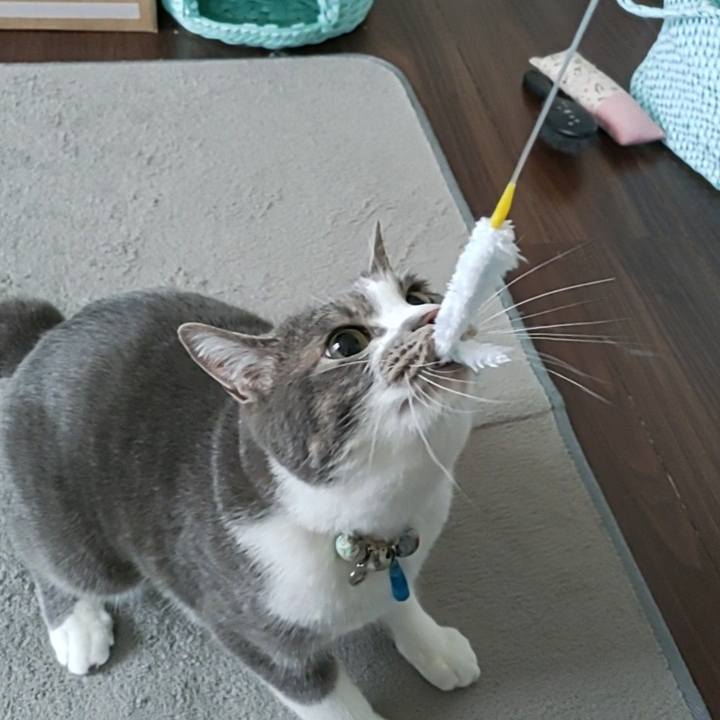 D863f53f f3e4 4980 814e 65588f9cd583 1716517352992