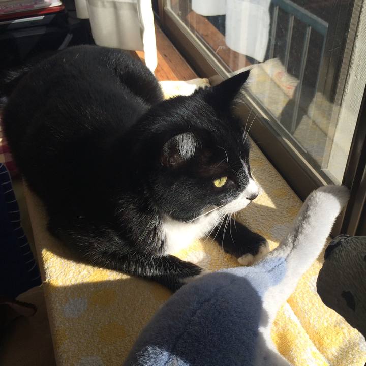 D86413ff 59a1 4b7f 9194 0f2f4d97c443 1515123954774