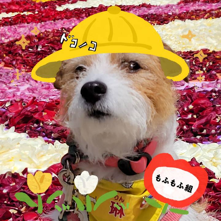 D8641dd2 012e 4adf 8186 1db454660ae1 1712229619841