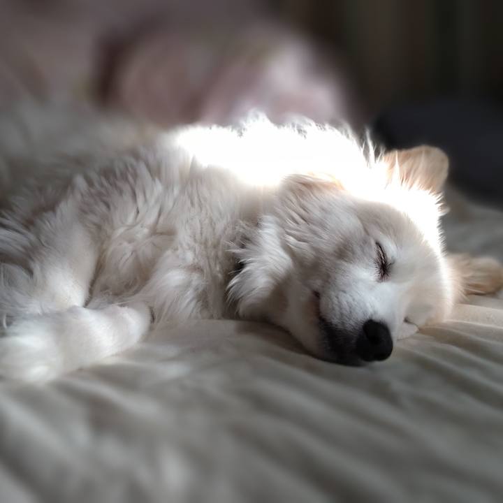 D864248c 74ce 4c72 baa4 b6e5f49302b0 1654328973779