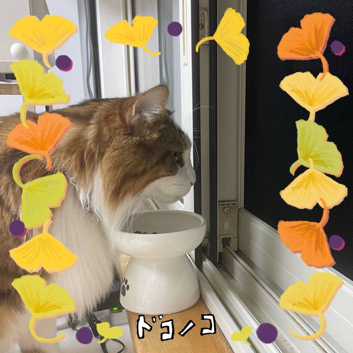 D8642ea6 3d95 4387 8594 dbee65e312c3 1729109249952