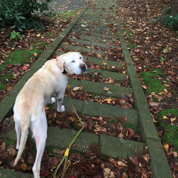 D8644024 0b0d 423d 8e08 04760dfdd8e2 1547452154392