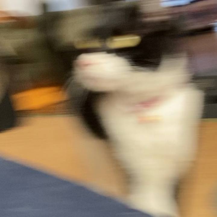 D8645042 1f06 4352 aa70 6544d2fc52fc 1680680542026