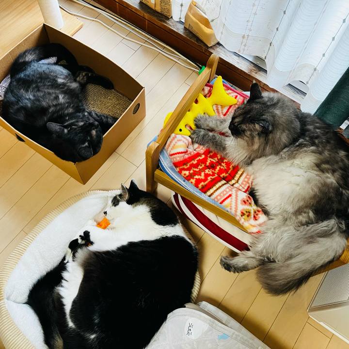 D8645a29 6c53 4950 9348 532209529a9c 1739329939696