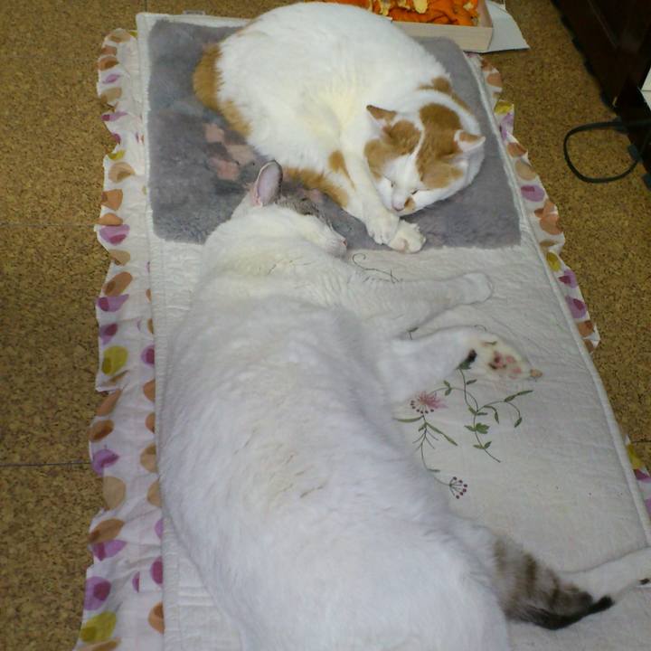 D8646187 cb28 4f5f 96ad e7e9522f5658 1613009178088