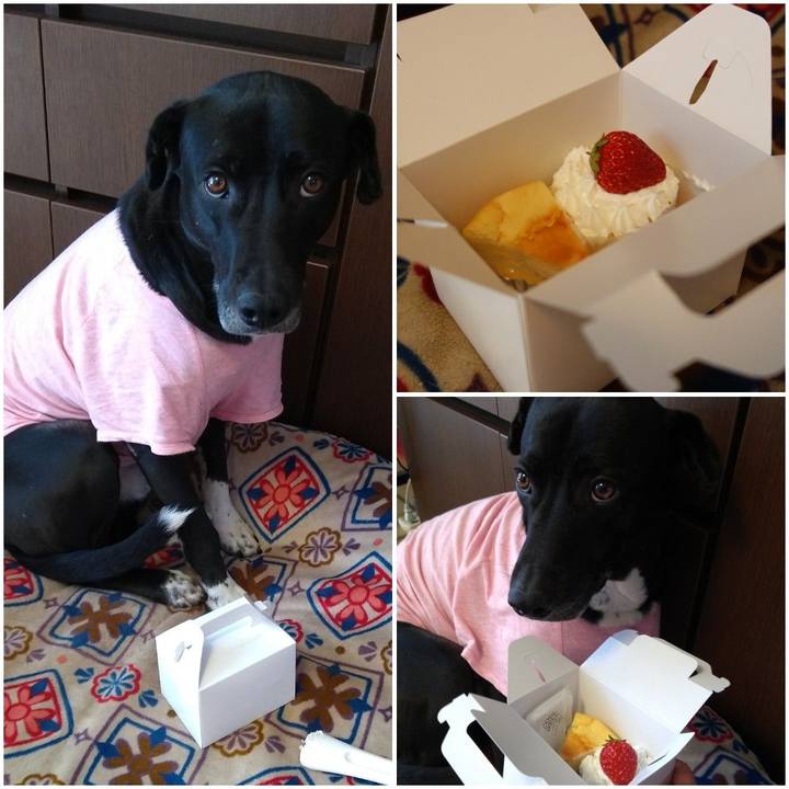 D8646deb 8a88 4795 a4ba afc151745c9a 1615439657214