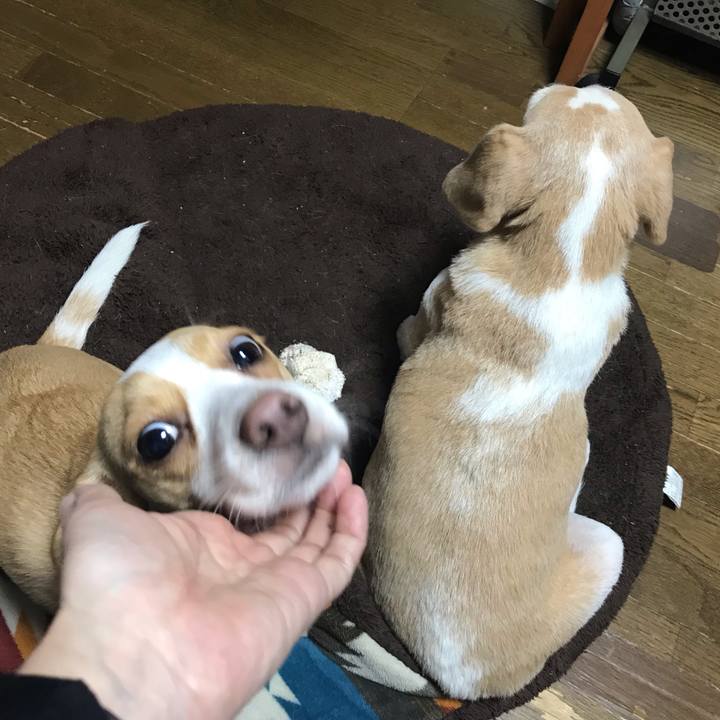 D8648c1c 4a77 405c af51 286c1e7e0e5c 1542847499271