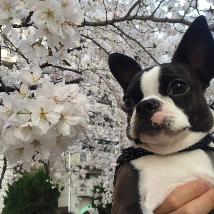 D8648fc1 cd77 41fc af12 a394f3ffcb30 1523148087690