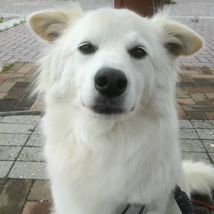 D865178e f137 43db 9f69 78a48427faa1 1525826553038