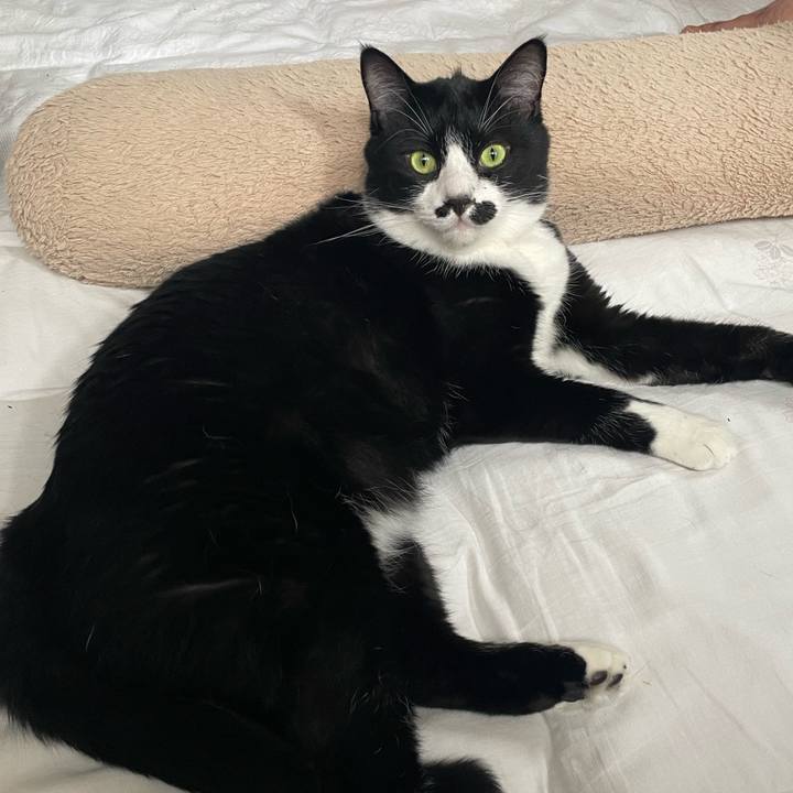 D8651cb5 da1b 464b 8f6e c26de5ddf8a4 1689377052442