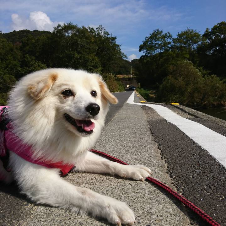 D8653eec 6490 458b 947f 72ac5ca8c305 1541892480835