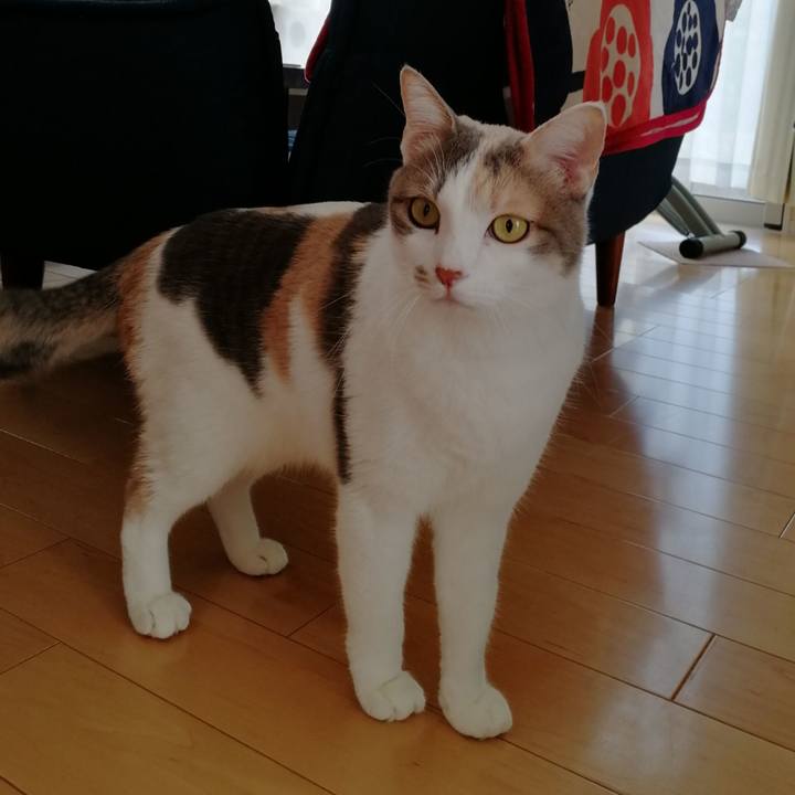 D8654916 bbce 4090 878c e46d56ea49dd 1580806445398