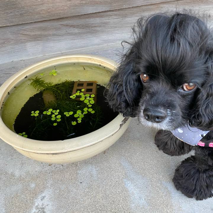 D8655b5b 49e7 4fea 9323 2990b880bd7a 1592908579507