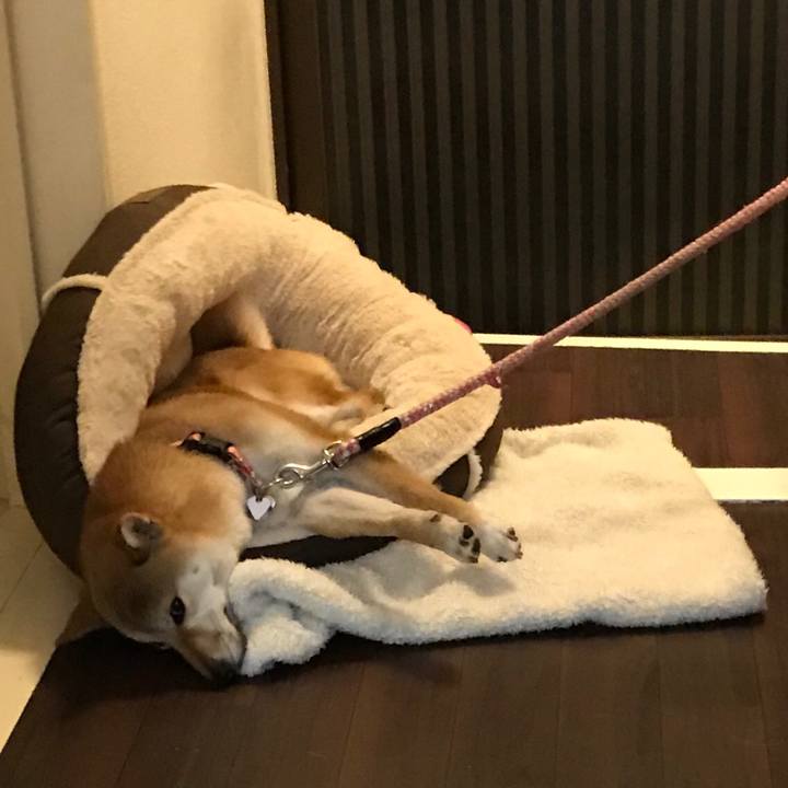 D8655c3b d0f5 415c 8545 fa6fe6207bce 1516675977523