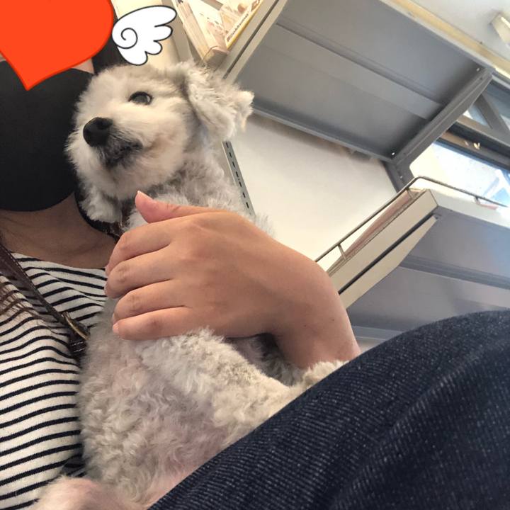 D8659170 b4a0 4885 9ecd bad8ae74e2ef 1598688925985