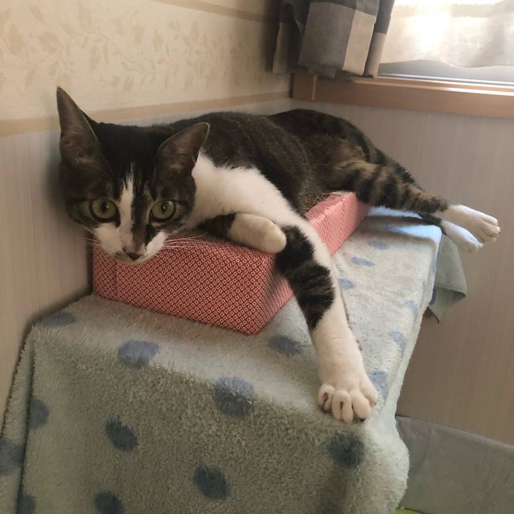 D865bf5f 776e 410b bf96 2a03bd084cc1 1558841395411