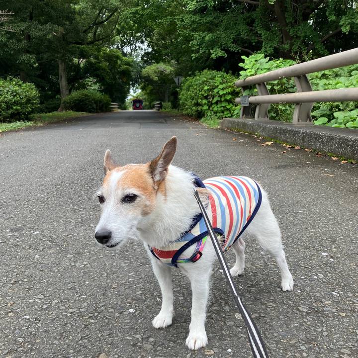 D865c29e 33ea 4b75 b4c3 d379b0e6e09e 1727738097874