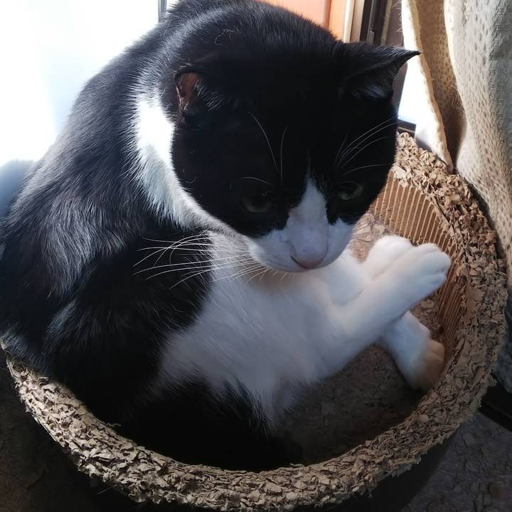 D865ef35 6b1a 4c22 baee 6167097b33b0 1572670284590