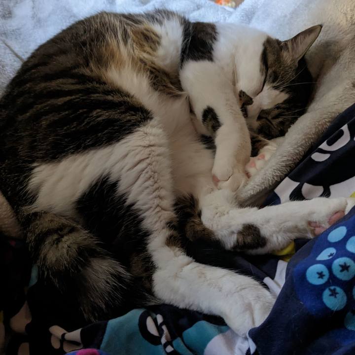 D865fffd e35f 4c01 a3ea f06407001b98 1678490939594