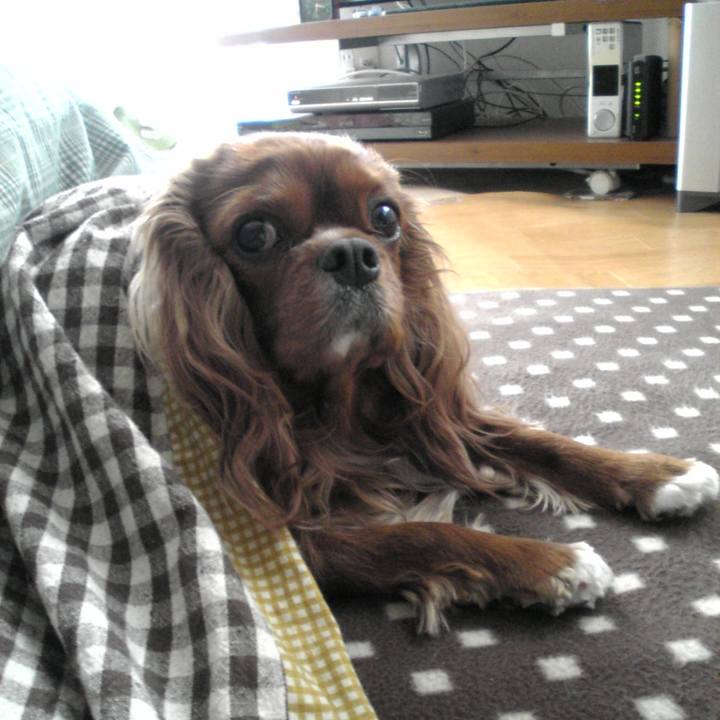 D8661a6c 3bea 4418 955c 22c9add4b05e 1641852709355