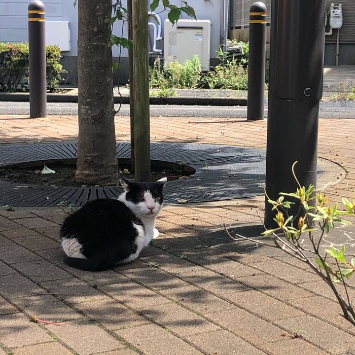 D8661f6e 7c1a 4d26 9620 c35b168b8cd1 1593518636806