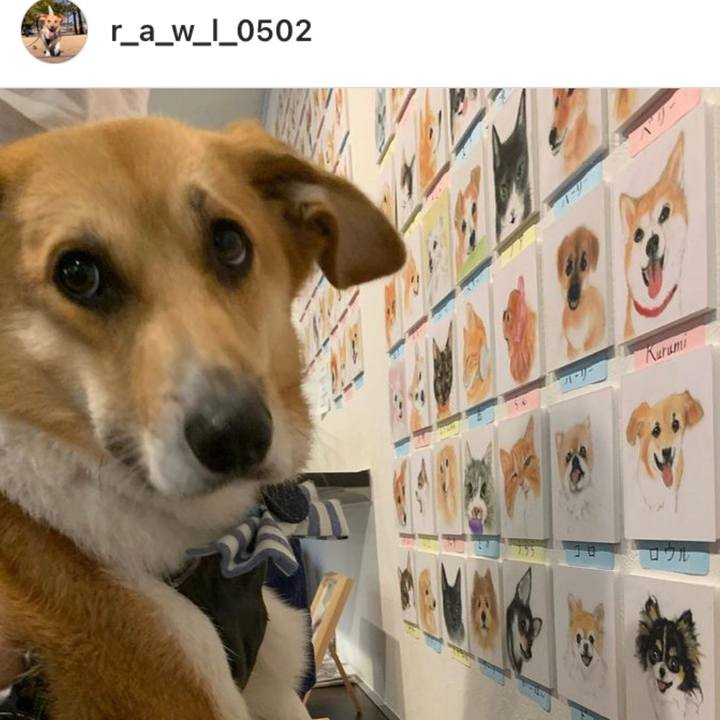 D8662065 32b6 47d9 b317 7bd4a2443eb4 1665367052695