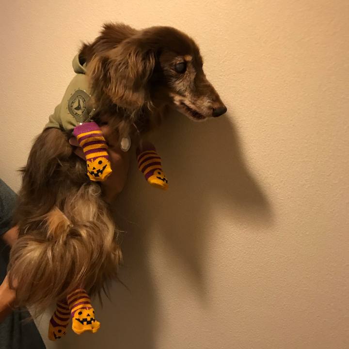 D8662938 f0bc 49ee a2b6 6faac6c89632 1601373477174