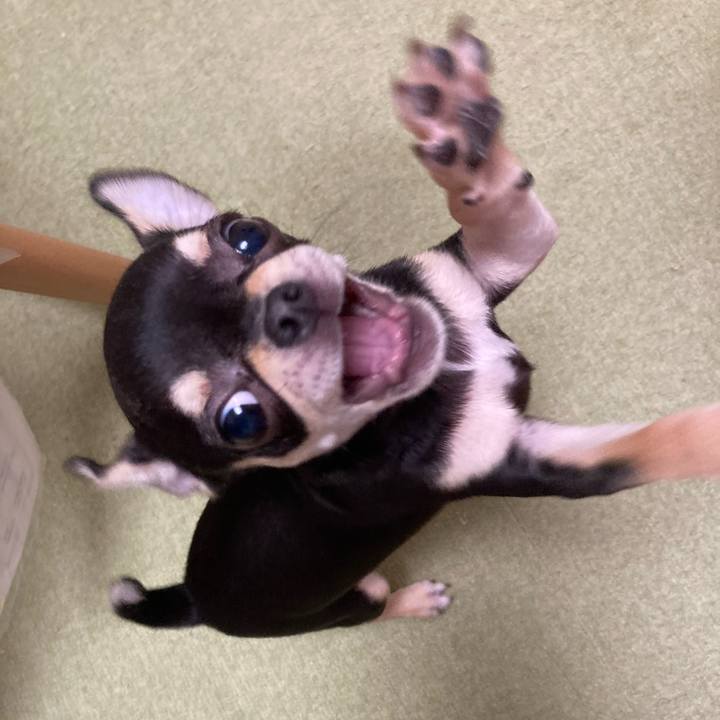 D8662987 dec0 471e 84d5 b41168926961 1719839370466