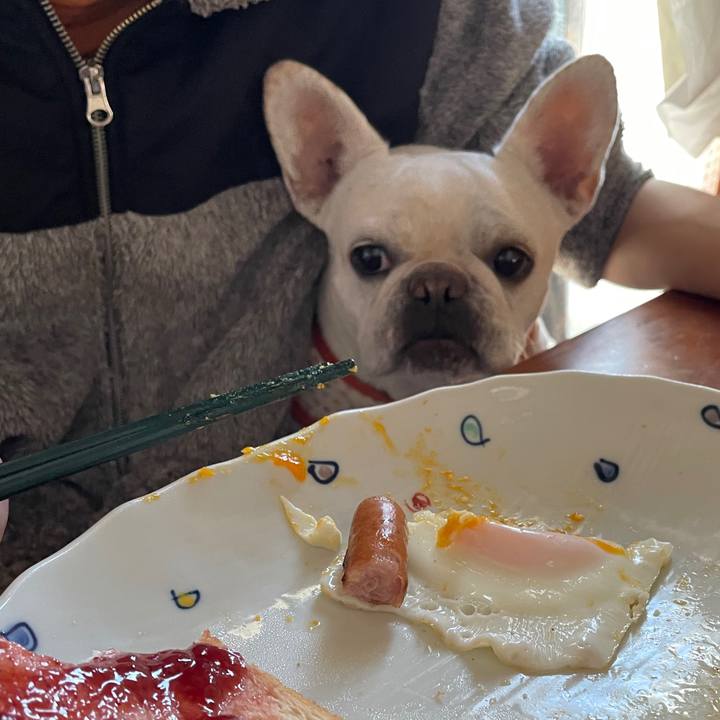 D86638e7 2193 40e3 b04b 44ee31f63280 1731623834936