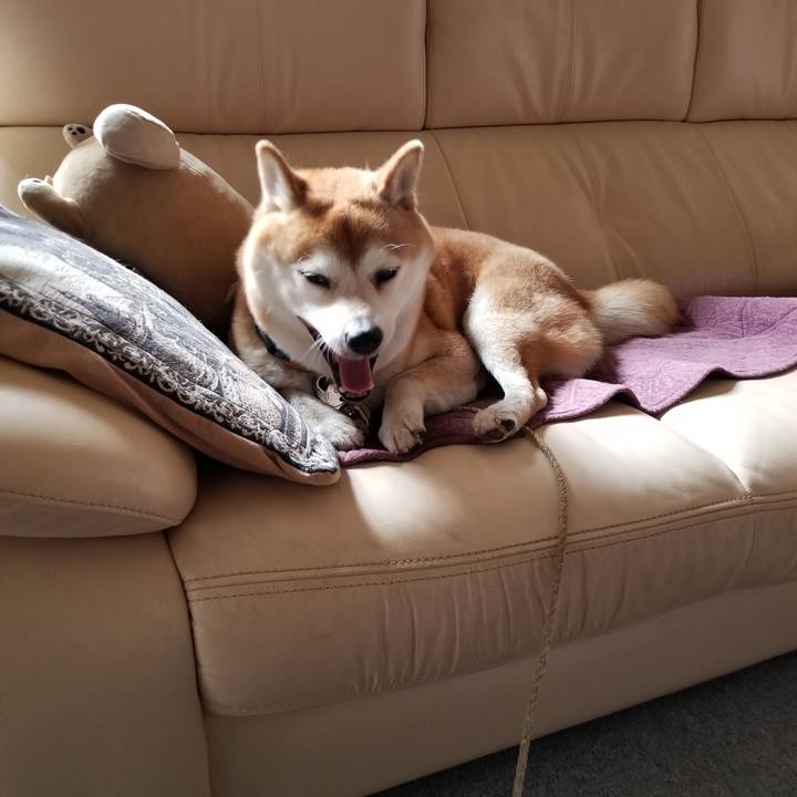 D8665471 8e55 415a ad56 f44db3b80939 1573350360531