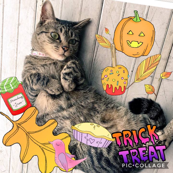 D866a697 f768 4cd1 85f2 1429ca6a32ad 1508904456880